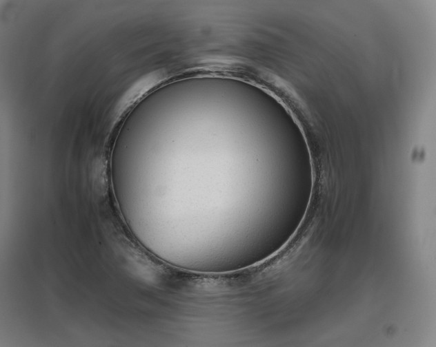 X0000096961362200802151226