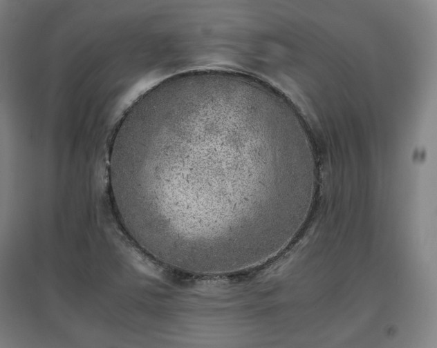 X0000096961363200802151226