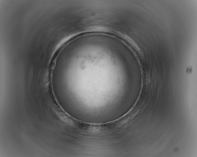 X0000096961364200802151226