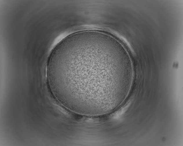 X0000096961365200802151226