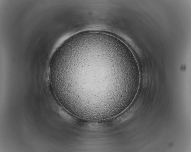 X0000096961366200802151226