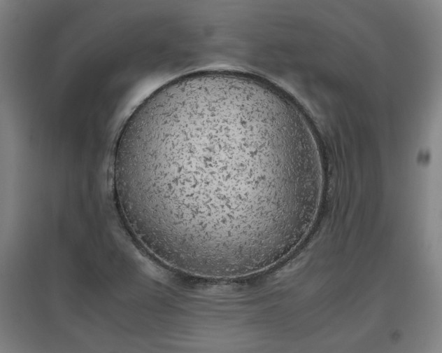 X0000096961367200802151226