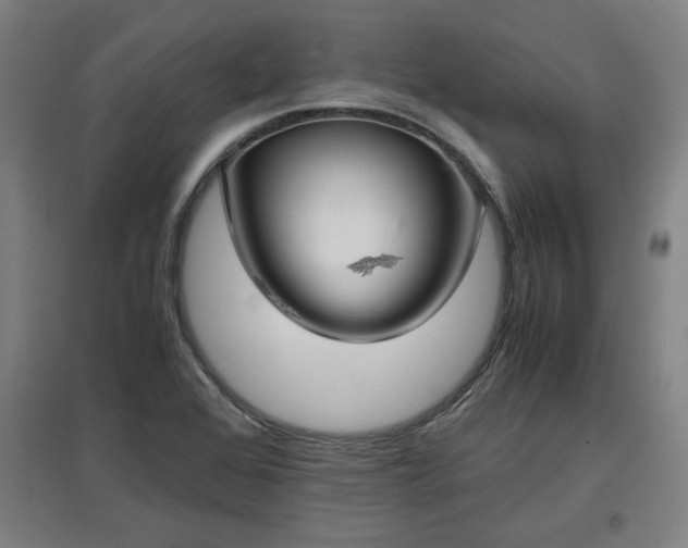 X0000096961368200802151226