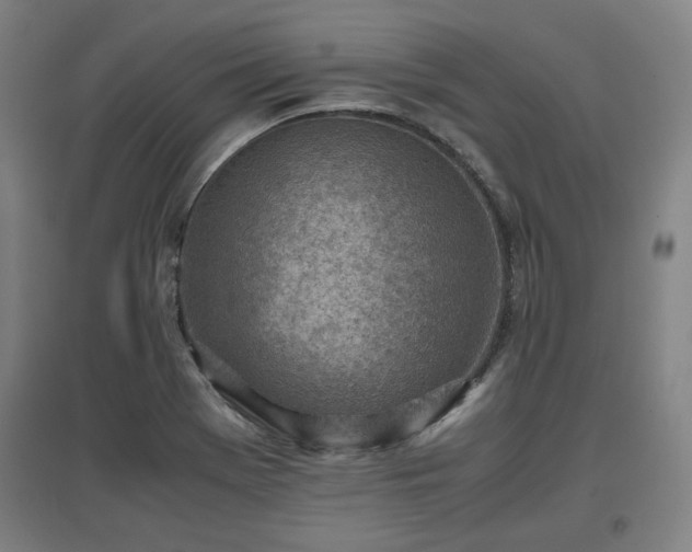 X0000096961369200802151226