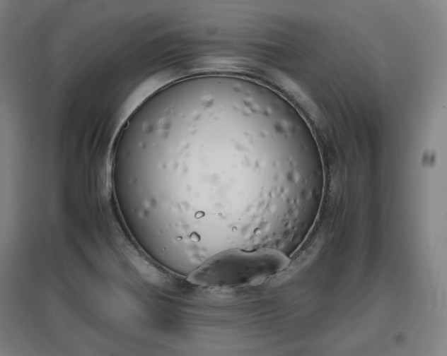 X0000096961370200802151226