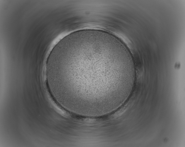 X0000096961371200802151226