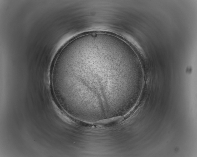 X0000096961372200802151226