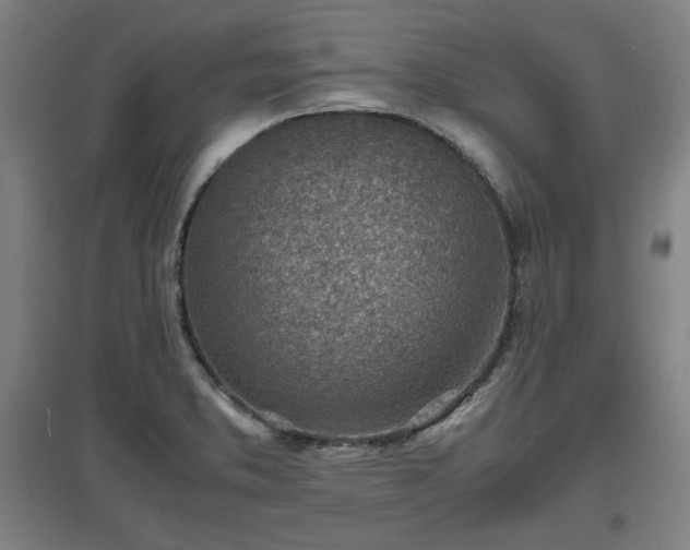 X0000096961373200802151226