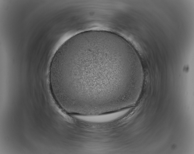 X0000096961375200802151226