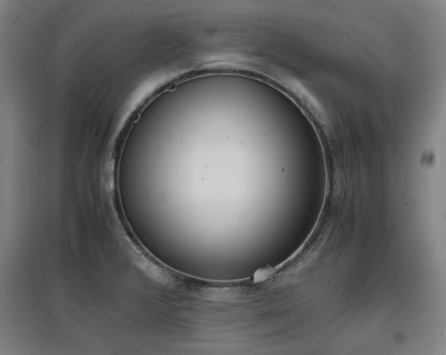 X0000096961376200802151226