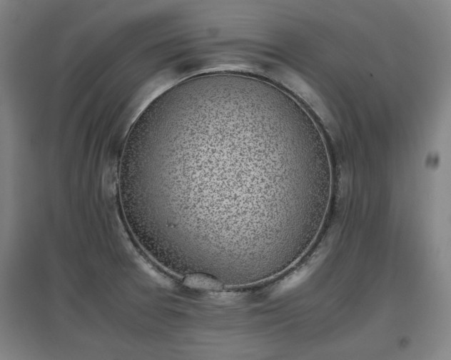 X0000096961377200802151226