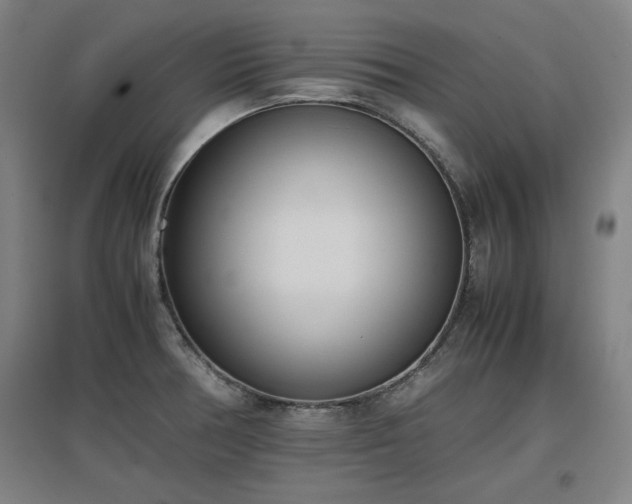 X0000096961378200802151226