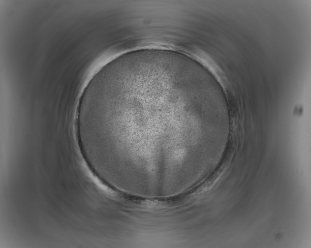 X0000096961379200802151226