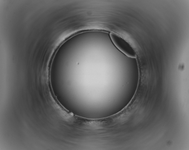 X0000096961380200802151226