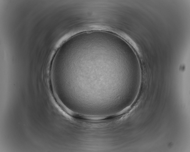 X0000096961381200802151226