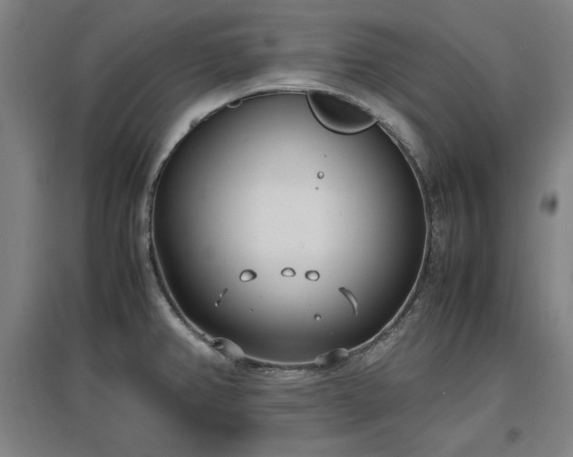 X0000096961382200802151226