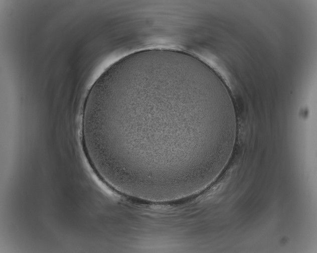 X0000096961383200802151226