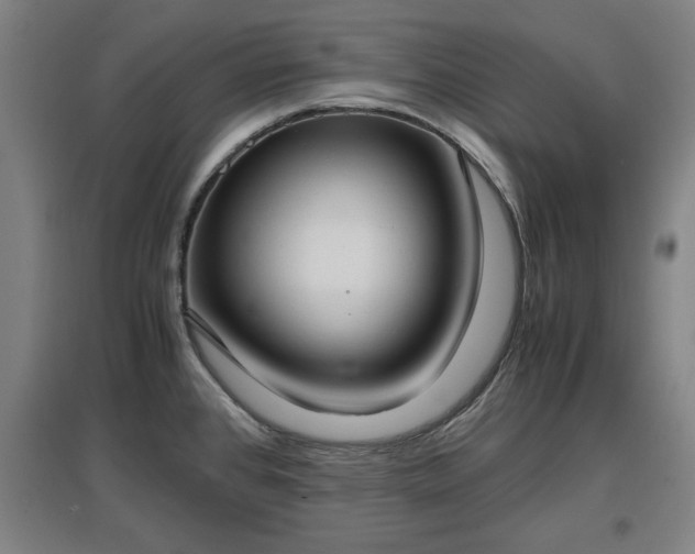 X0000096961384200802151226