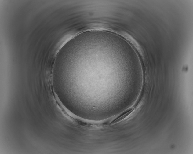 X0000096961385200802151225