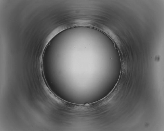 X0000096961386200802151225