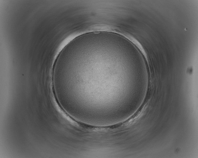 X0000096961389200802151225