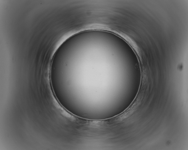 X0000096961390200802151225