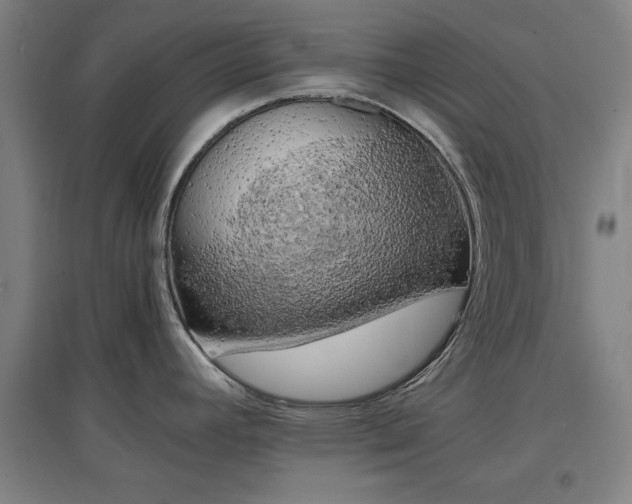 X0000096961392200802151225