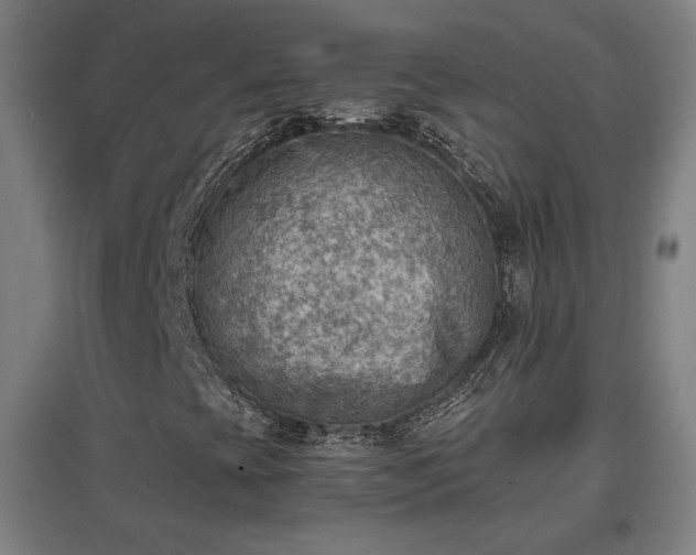 X0000096961393200802151225