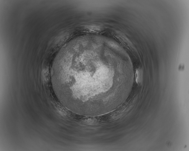 X0000096961395200802151225