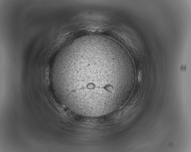 X0000096961396200802151225