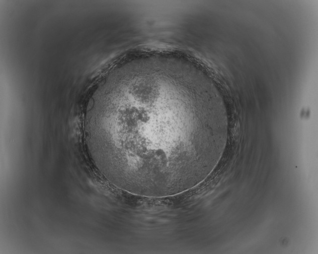 X0000096961397200802151225