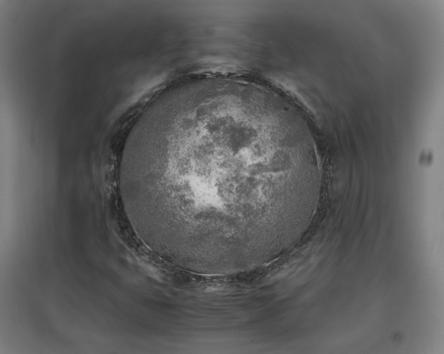 X0000096961399200802151225