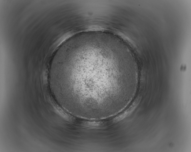 X0000096961401200802151225