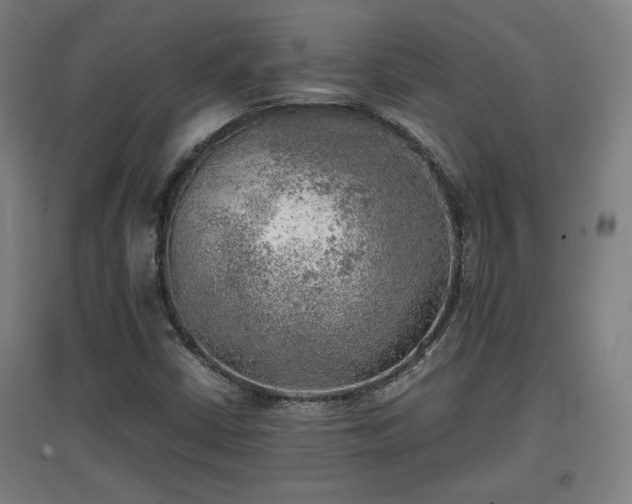 X0000096961402200802151225