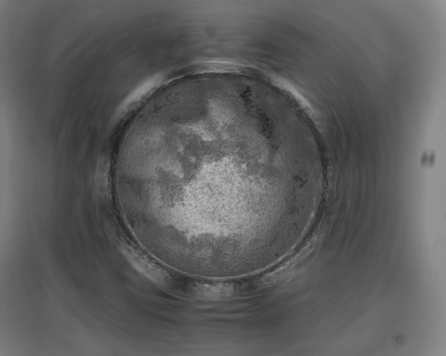 X0000096961403200802151225