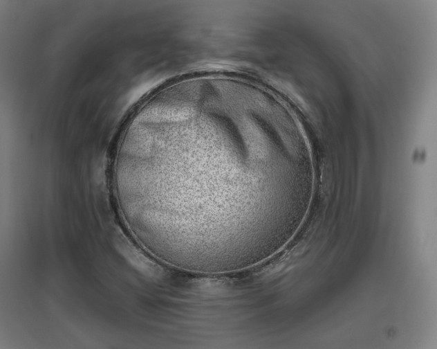 X0000096961404200802151225