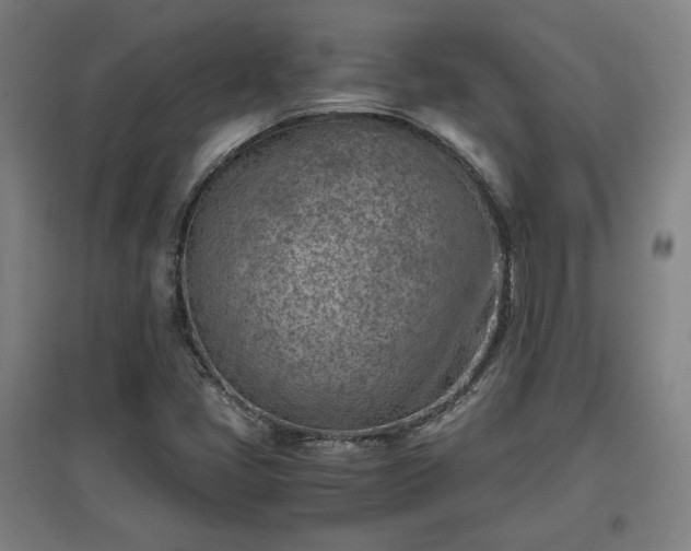 X0000096961405200802151225