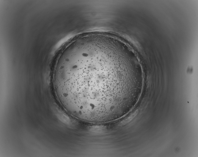 X0000096961406200802151225