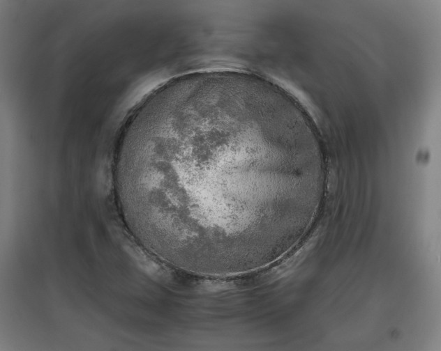 X0000096961407200802151225