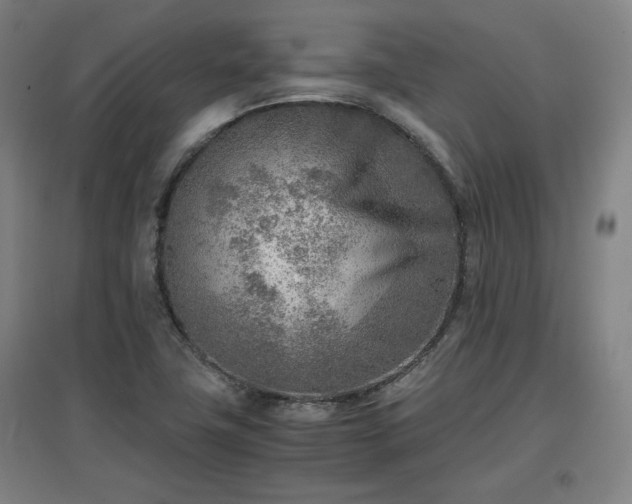 X0000096961411200802151225