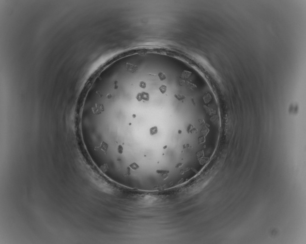 X0000096961412200802151225