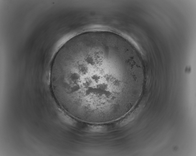 X0000096961413200802151225