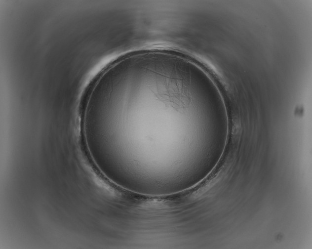 X0000096961414200802151225