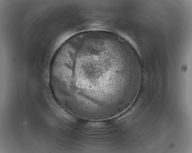 X0000096961415200802151225