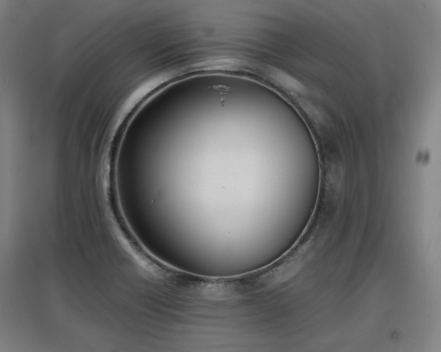 X0000096961418200802151225