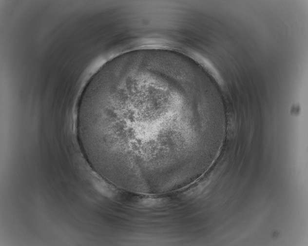 X0000096961419200802151225