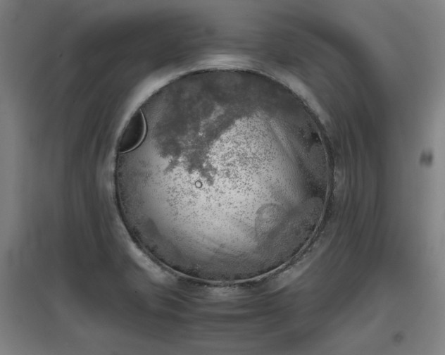 X0000096961421200802151225