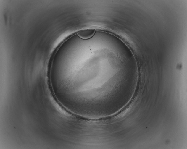 X0000096961422200802151225