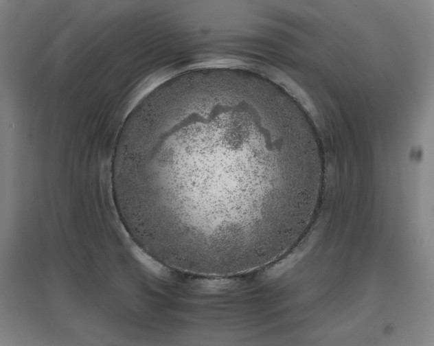 X0000096961425200802151225