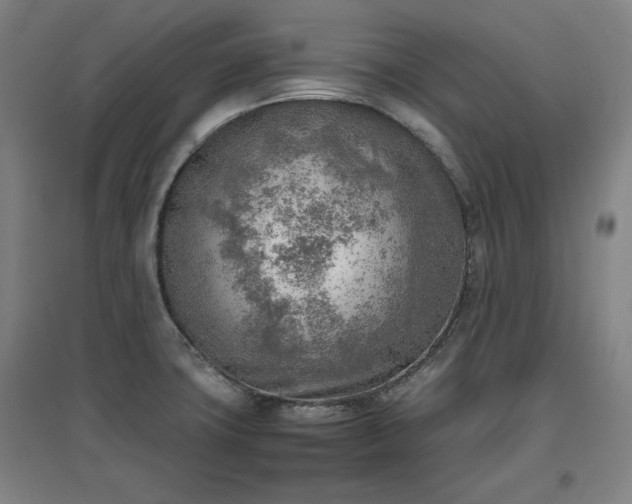 X0000096961427200802151225